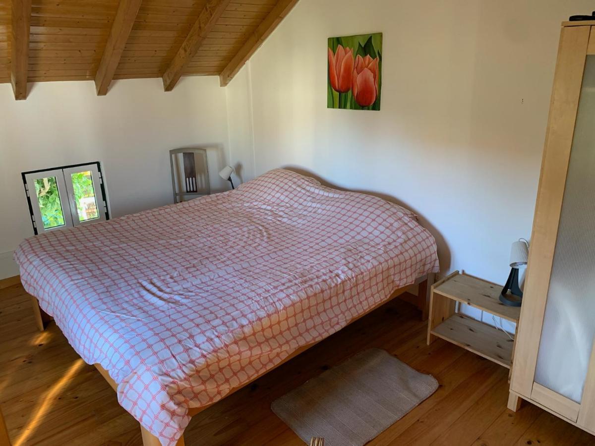 Casa Agostinho - With Private Pool Near Coimbra Hébergement de vacances *