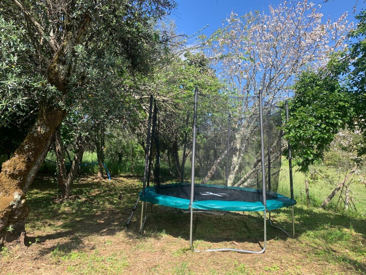 Hébergement de vacances Casa Agostinho - With Private Pool Near Coimbra *